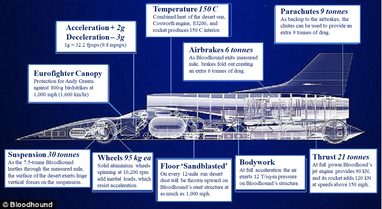 Bloodhound Labels